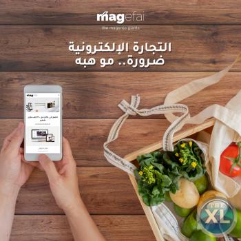 امتلك متجر الكترونى احترافى متكامل‏ وحقق اعلى الارباح | ماجيفاي