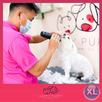 Mobile Dog Grooming in Dubai – Grooming at Your Doorstep