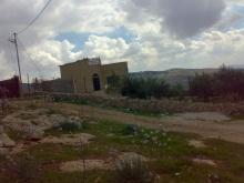 مزرعة 6 دونم ونصف مشجرة زيتون عليها بيت في جرش للبيع بسعر مغري